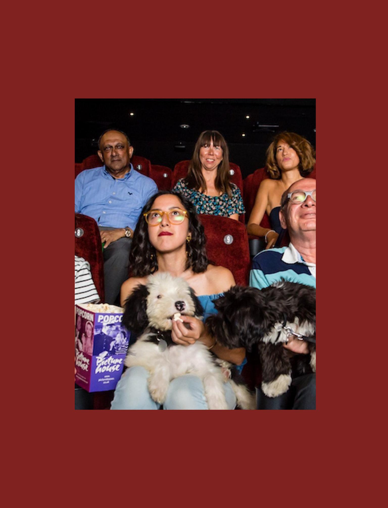 Happy moviegoers with their dogs enjoying a film in a pet-friendly cinema, complete with popcorn and smiles all around in a cozy theatre setting