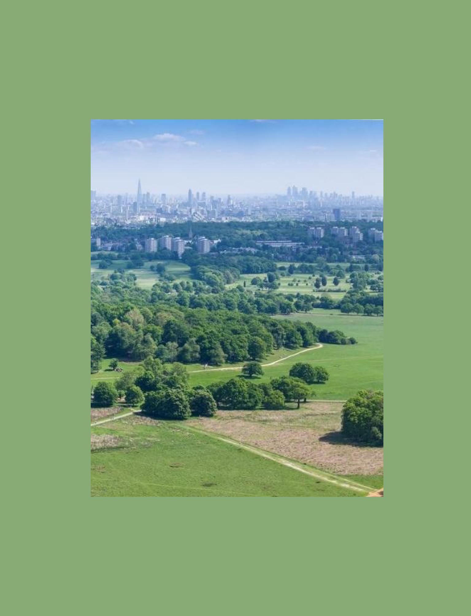 Landscape view of a rich green Richmond Park with the London city skyline in the distance.