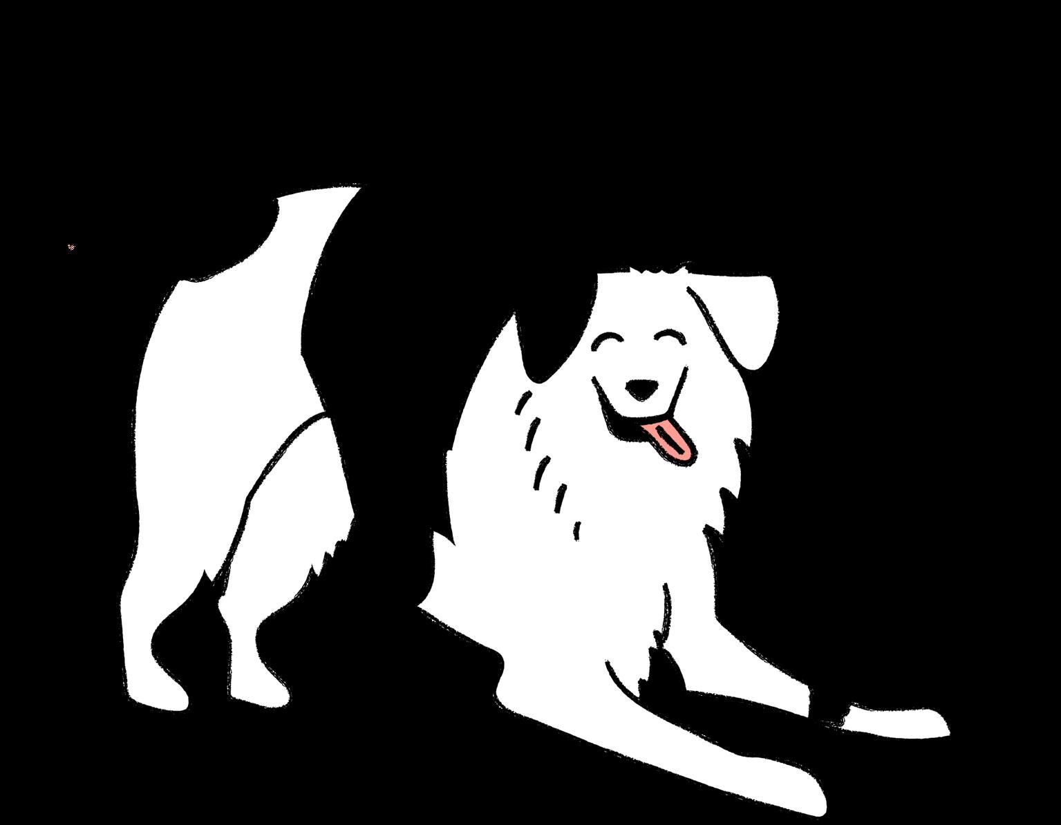 happy dog