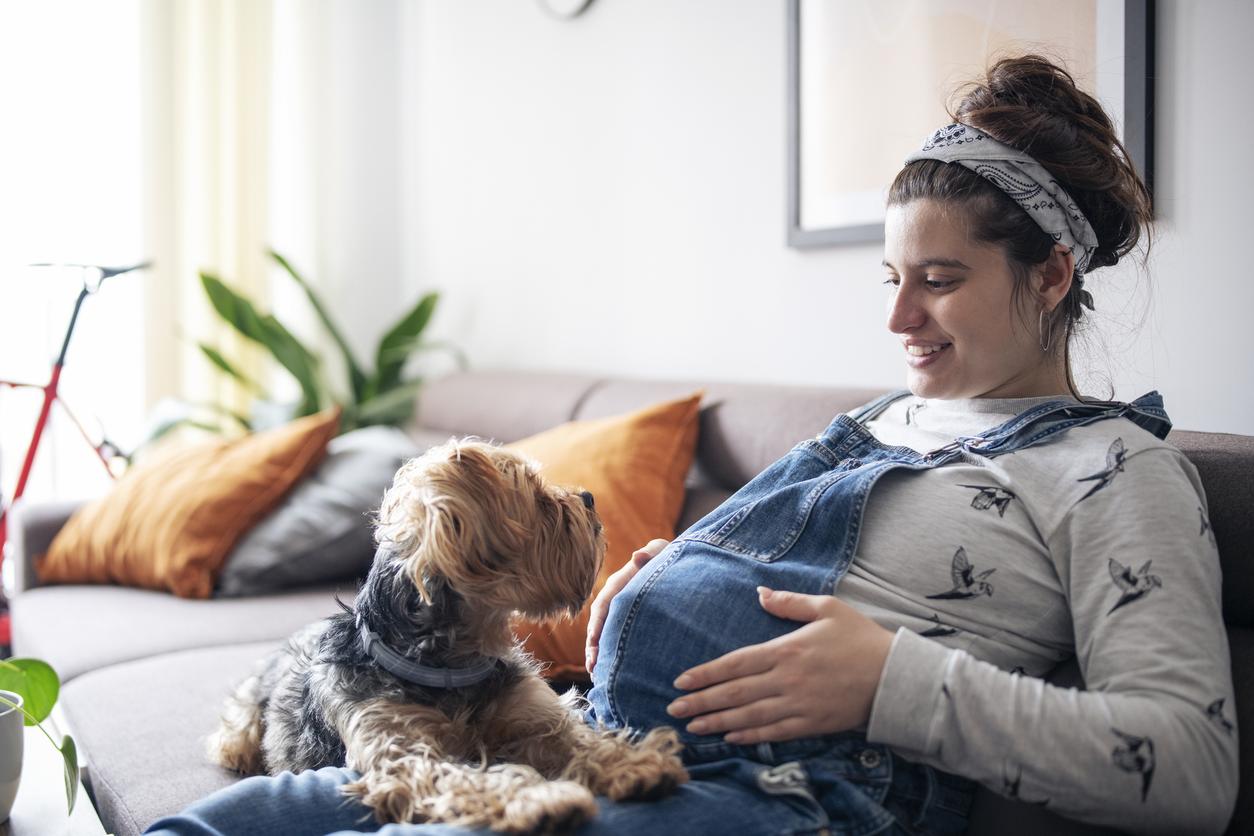 A dog stares up and lays in the lap of their pregnant pet parent as the pet parent touches their pregnant belly