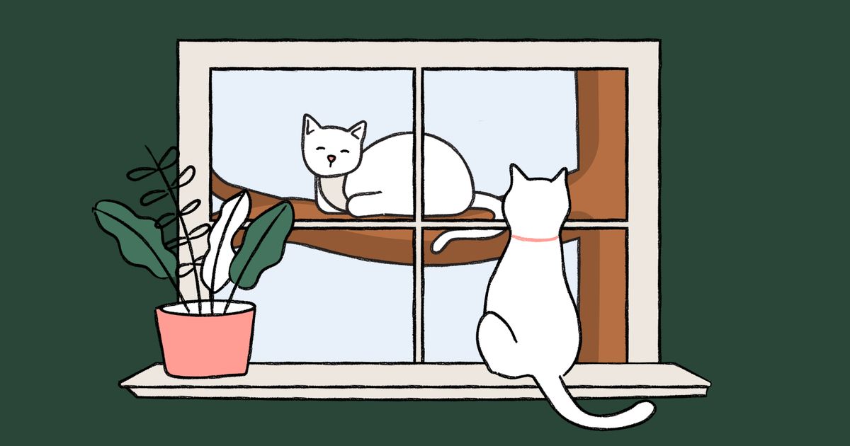 Should you let your cat outside? Here's what the data says. ManyPets