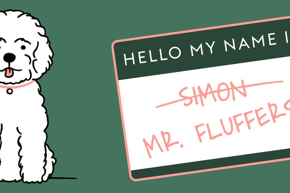 A drawing of a fluffy white dog is presented alongside a name tag. The name tag says "Hello My Name Is" printed at the top. Below, the name 'Simon' is crossed out, and below that is the name ‘Mr. Fluffers’.