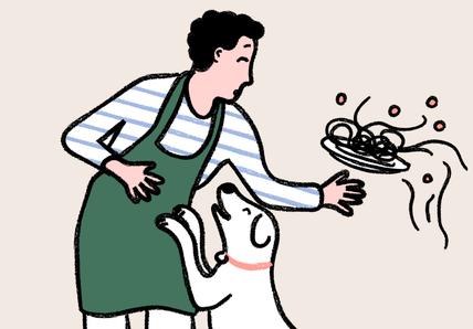 Why does my dog follow me everywher