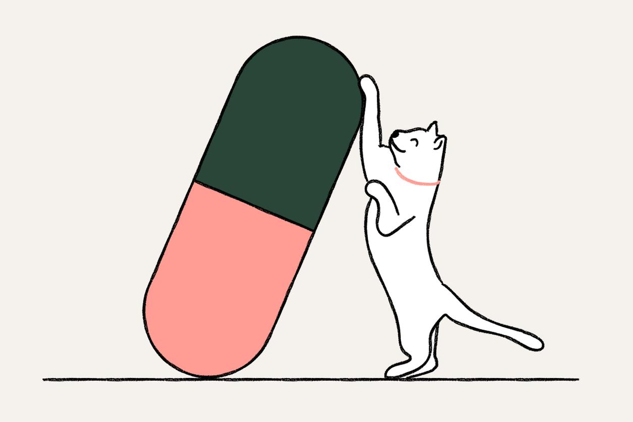 Cats + Vitamins and supplements - Header