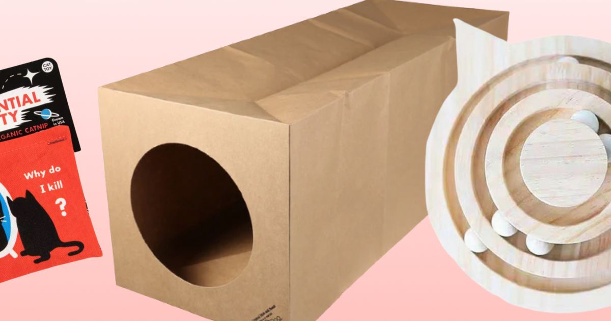 How to pick safe(r) kitten toys ManyPets