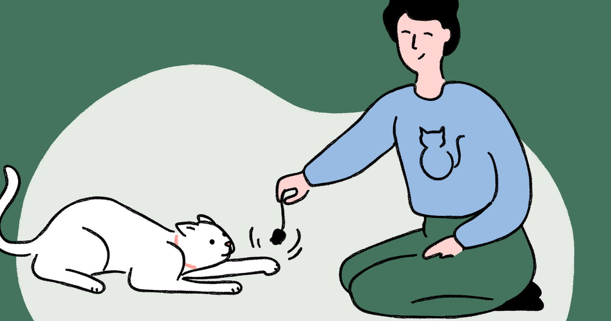 7 tips to help your cat come out of hiding ManyPets