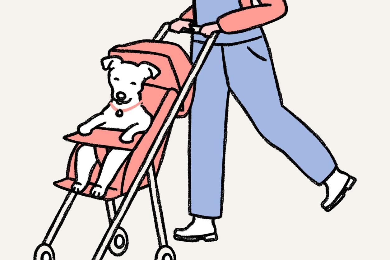 drawing of a dog in a stroller