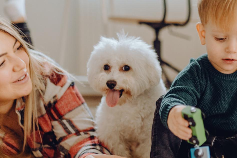 A woman, a toddler, and a small white dog playing with a toy train on a patterned rug.