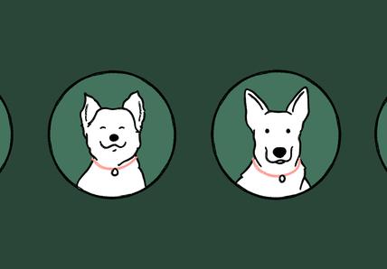 illustrations of four white dogs in circles on a green background