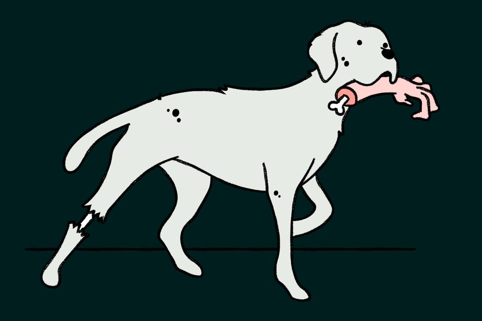 cartoon spooky dog