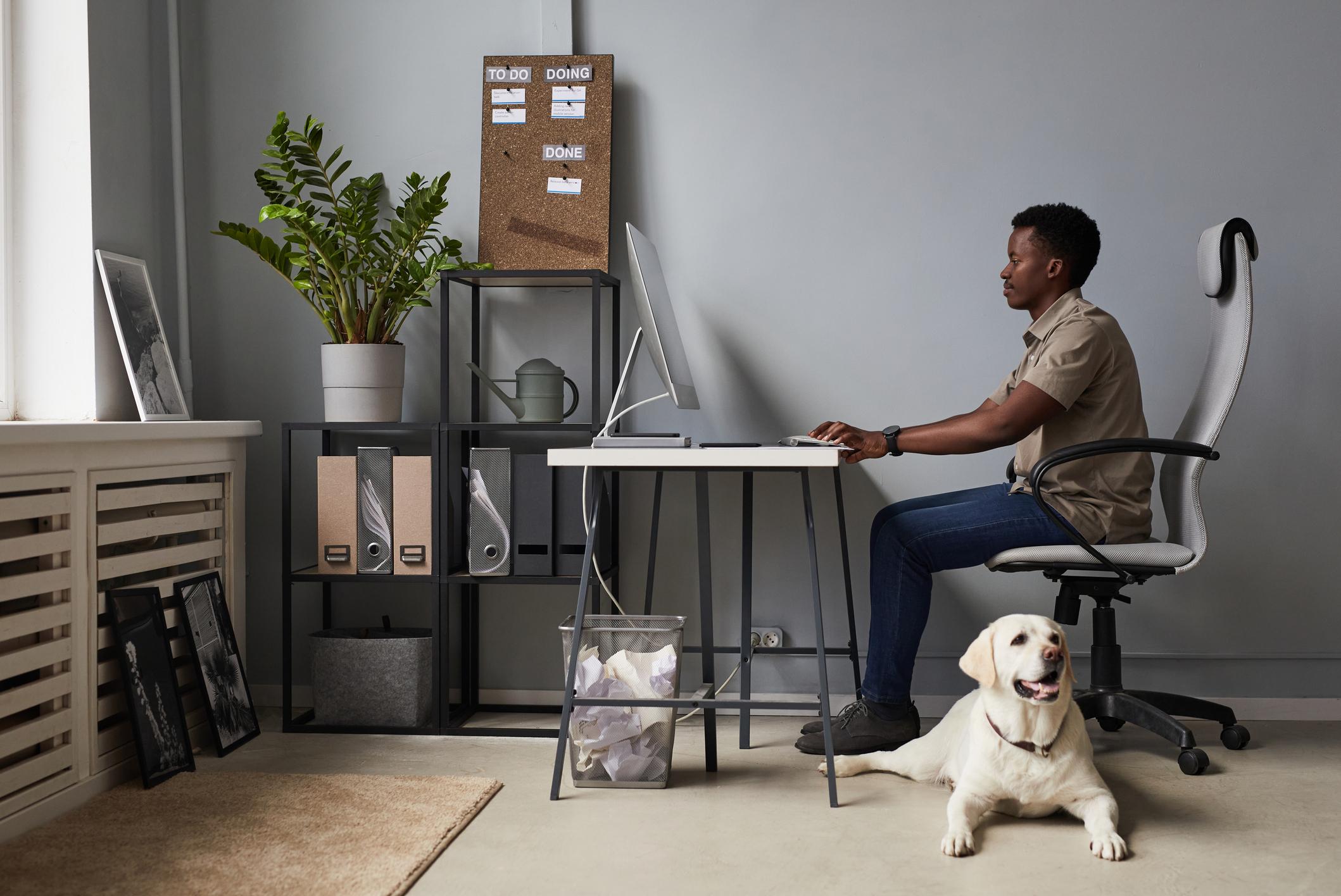 A man sits at his desk on his computer working, his Labrador Retriever lays on the floor next to him, their mouth open and tongue panting