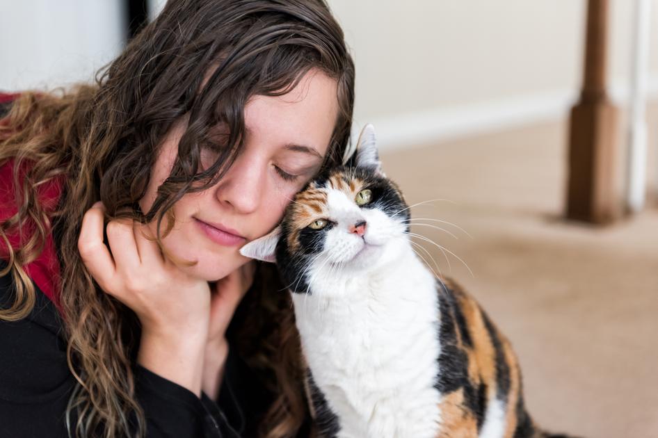 Woman with closed eyes gently leans her head against a calico cat, both exuding a sense of calm and affection.