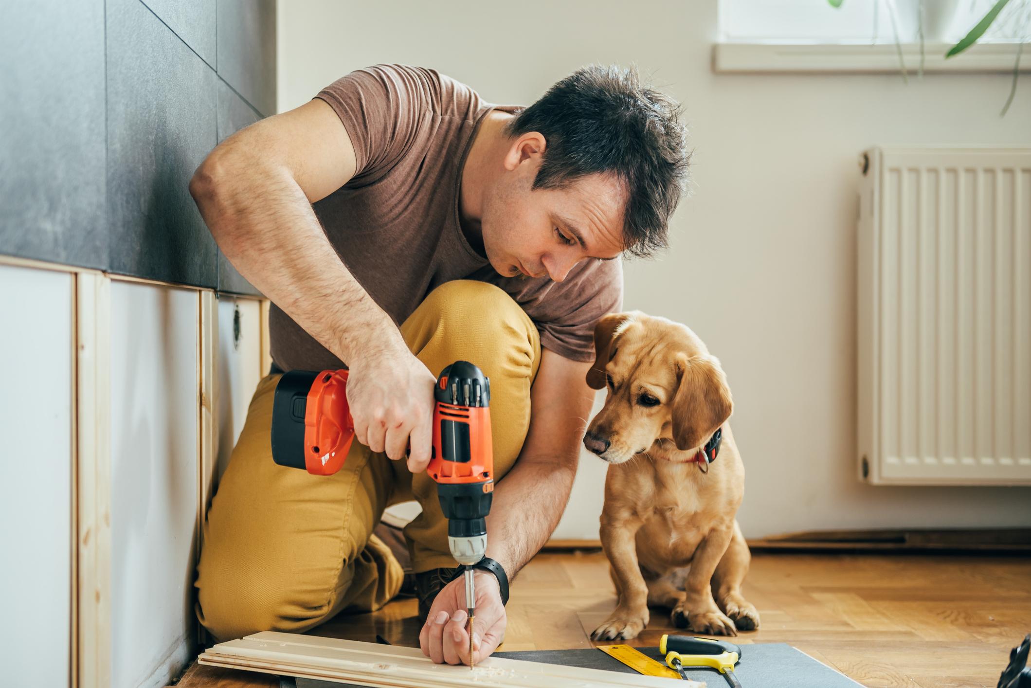Man using a power drill while a small dog curiously watches, in a room with wooden flooring and a radiator.