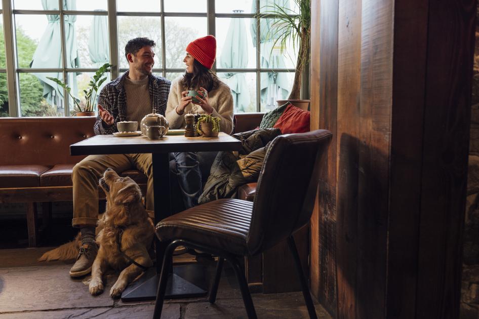 A couple enjoy a conversation in a pub or cafe with their Golden Retriever, who sits at their feet under the table and looks up at them