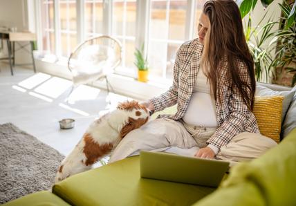 A pregnant woman sits on a green couch while she pets her dog