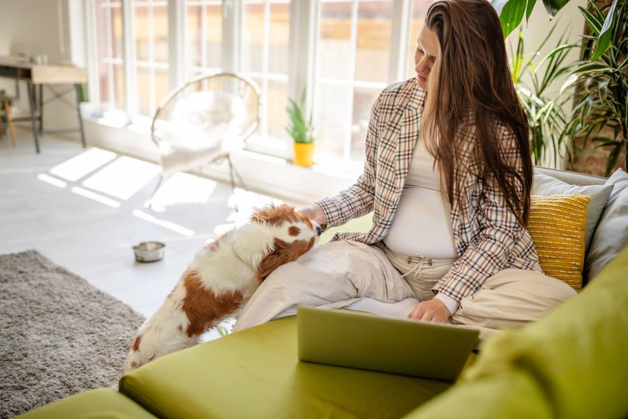 A pregnant woman sits on a green couch while she pets her dog