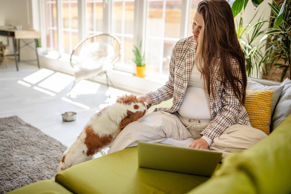 A pregnant woman sits on a green couch while she pets her dog