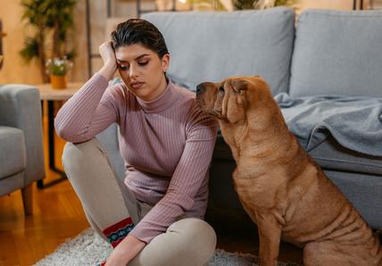 Person sitting on the floor with a stressed expression, next to a Shar Pei dog in a cozy living room.