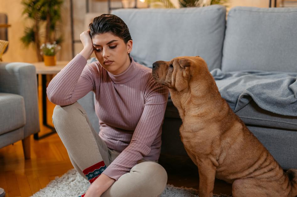 Person sitting on the floor with a stressed expression, next to a Shar Pei dog in a cozy living room.