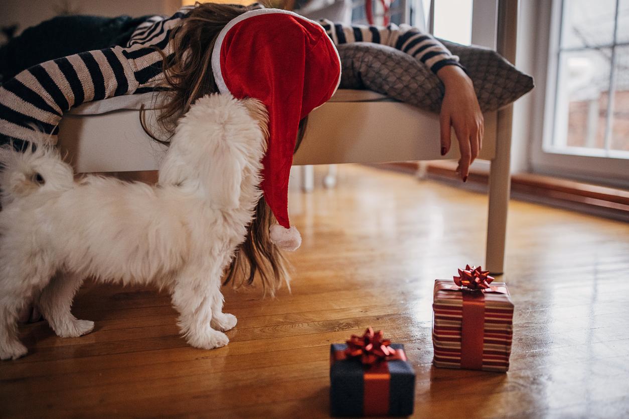 A woman in a Santa Hat lies down hungover, her dog is sniffing her to see if she&#39;s okay