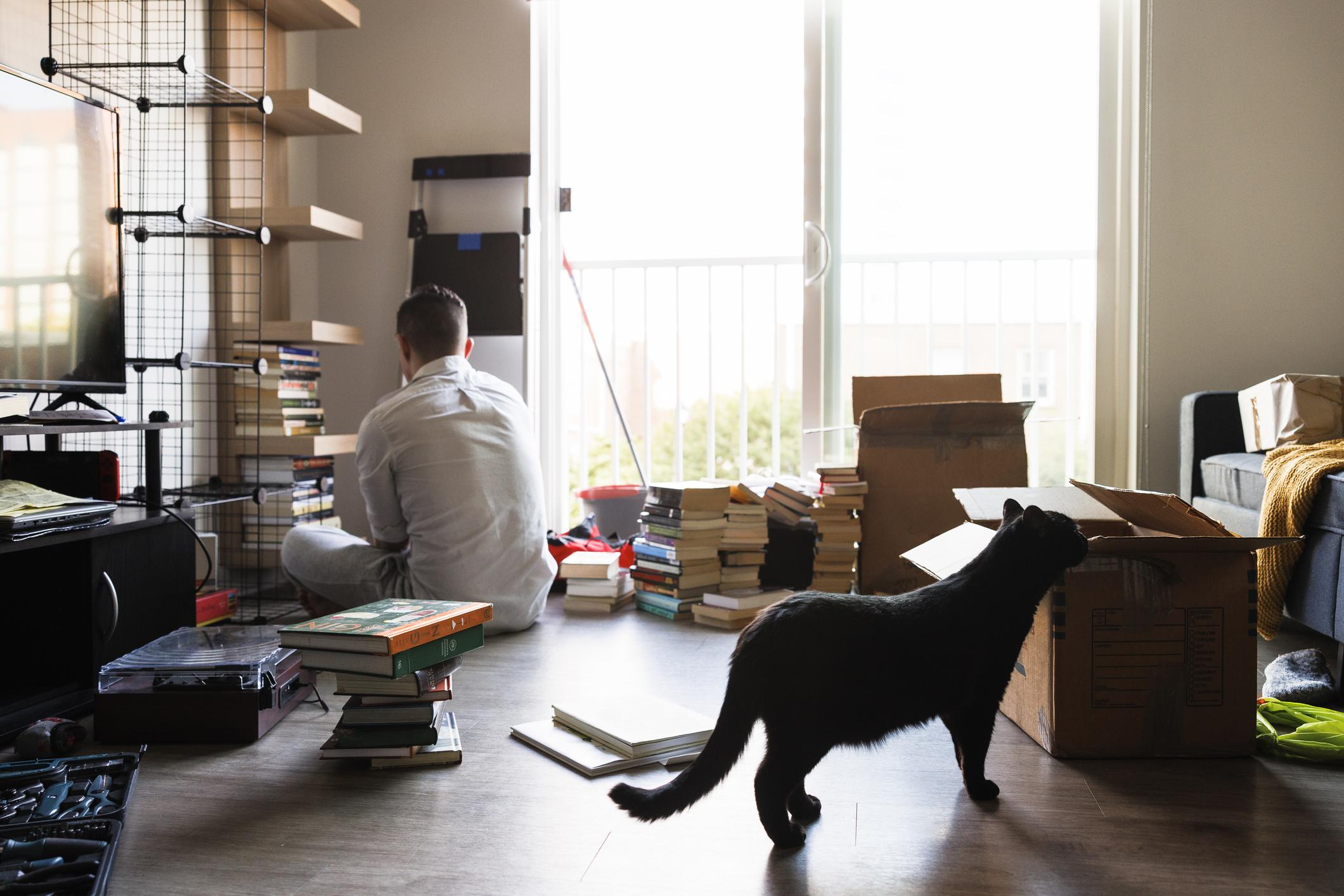 A person organizing books on the floor in a sunlit room, surrounded by boxes and shelves, with a black cat sniffing a box nearby.