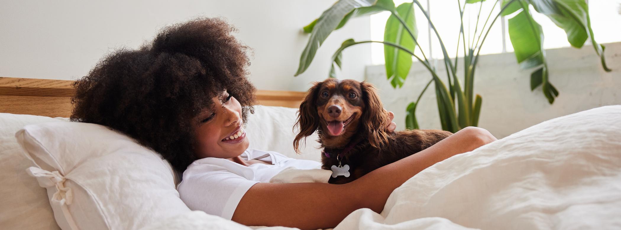 Person lounging in bed, smiling at a small brown Dachshund. Bright room with a large plant by a window.