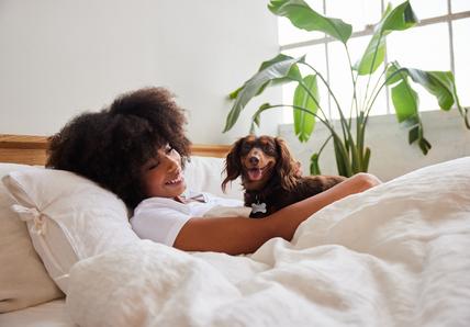 Person lounging in bed, smiling at a small brown Dachshund. Bright room with a large plant by a window.