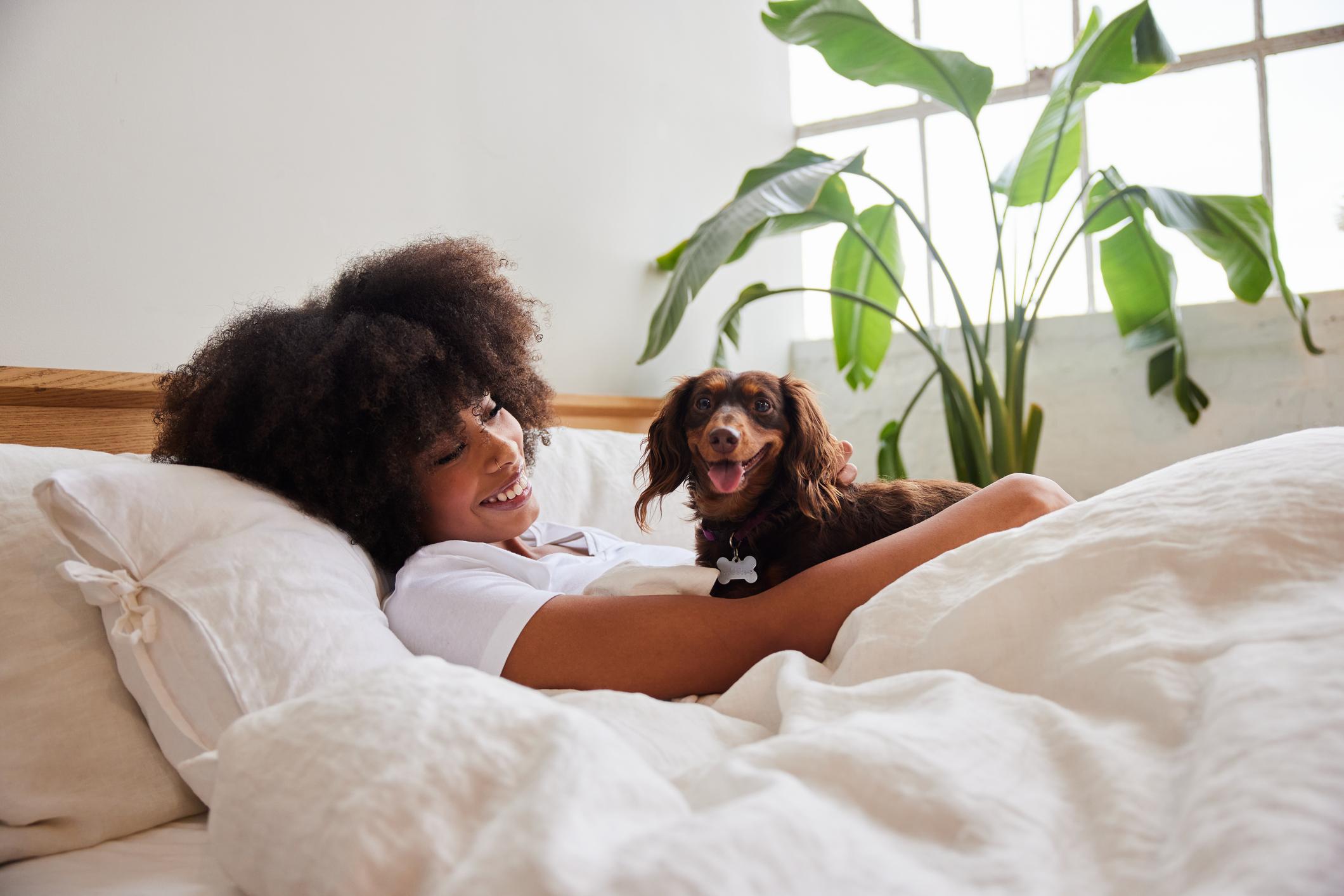 Person lounging in bed, smiling at a small brown Dachshund. Bright room with a large plant by a window.