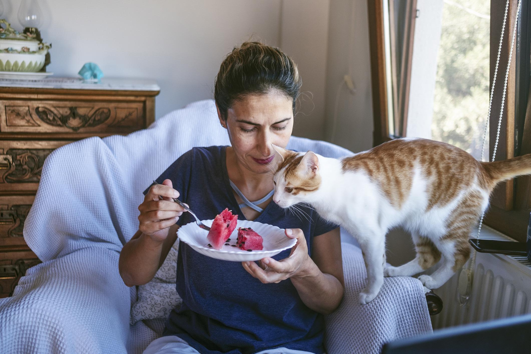 A woman sits in a chair eating watermelon with a curious cat sniffing near the plate.