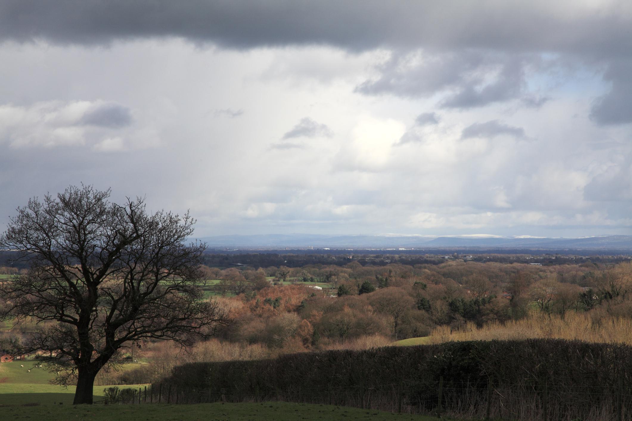 Image of the Cheshire countryside on an overcast day