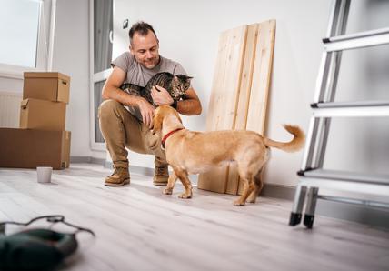 A man holds his cat and looks at his dog while he's in the middle of renovating his home, he's crouched down and there are home upgrade materials around him