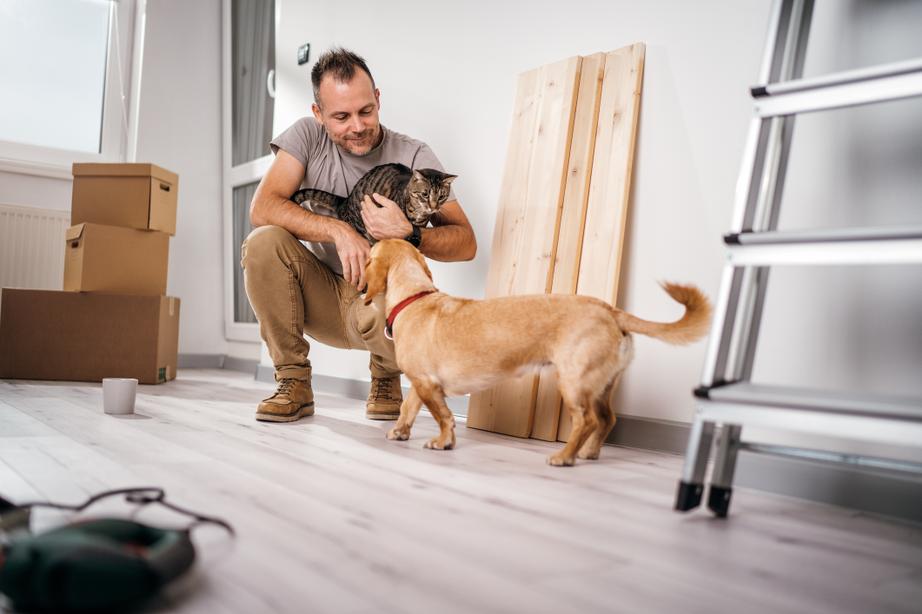 A man holds his cat and looks at his dog while he's in the middle of renovating his home, he's crouched down and there are home upgrade materials around him