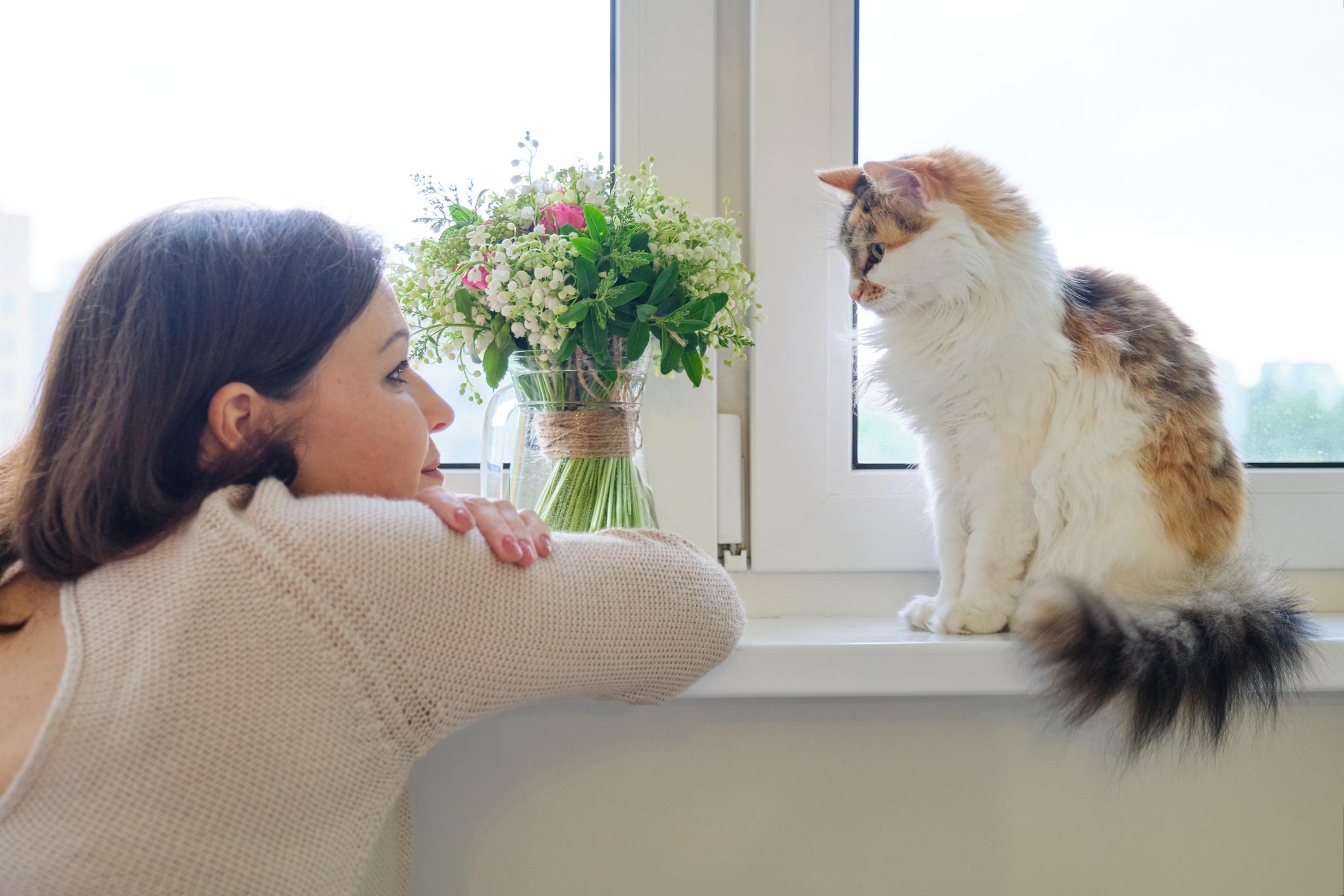 A cat sits on the windowsill and stares at a woman, who has her arms crossed