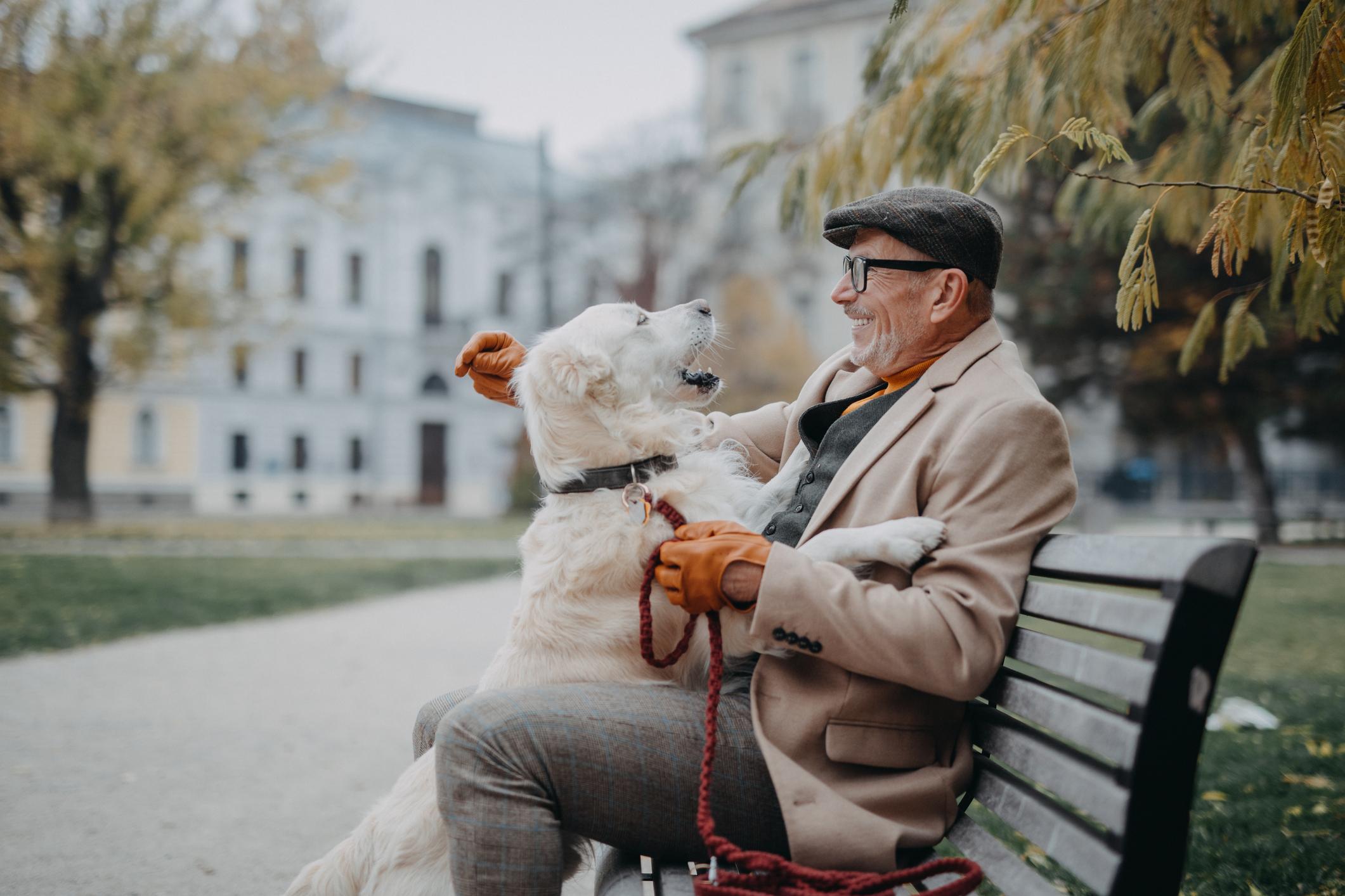 Man in a coat and cap sits on a park bench, smiling at a white Golden Retriever with their paws on his lap, surrounded by autumn trees.
