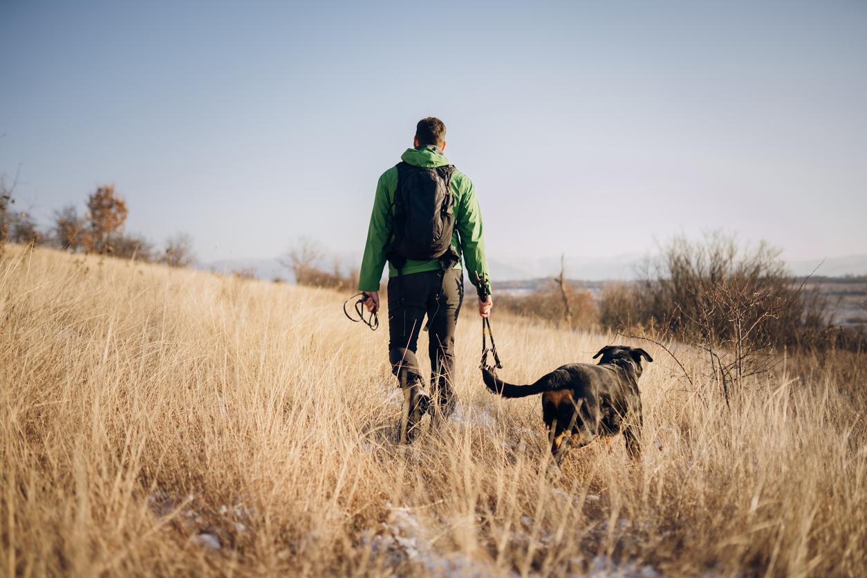 An image of a man in a green jacket walking his black dog in a field on a mild winter day