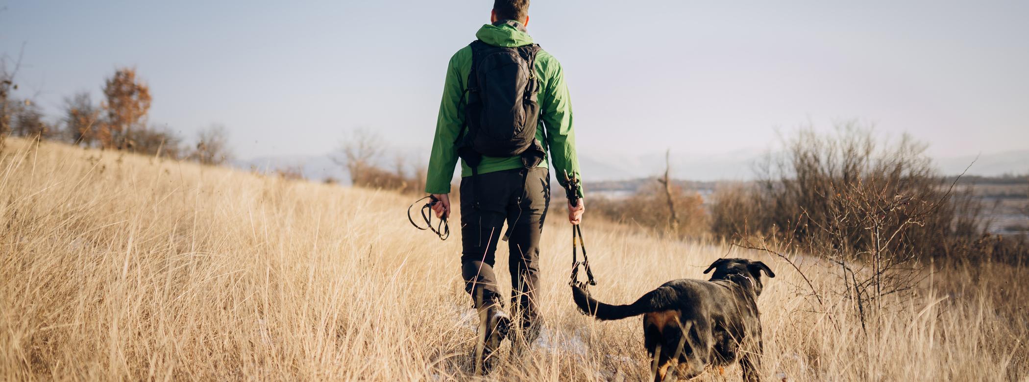 An image of a man in a green jacket walking his black dog in a field on a mild winter day