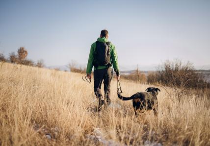 An image of a man in a green jacket walking his black dog in a field on a mild winter day