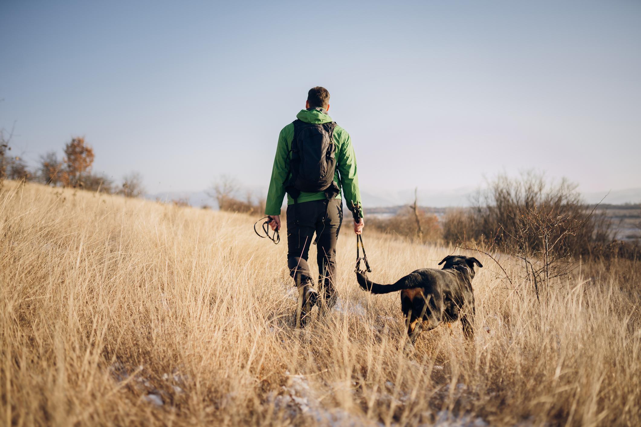 An image of a man in a green jacket walking his black dog in a field on a mild winter day