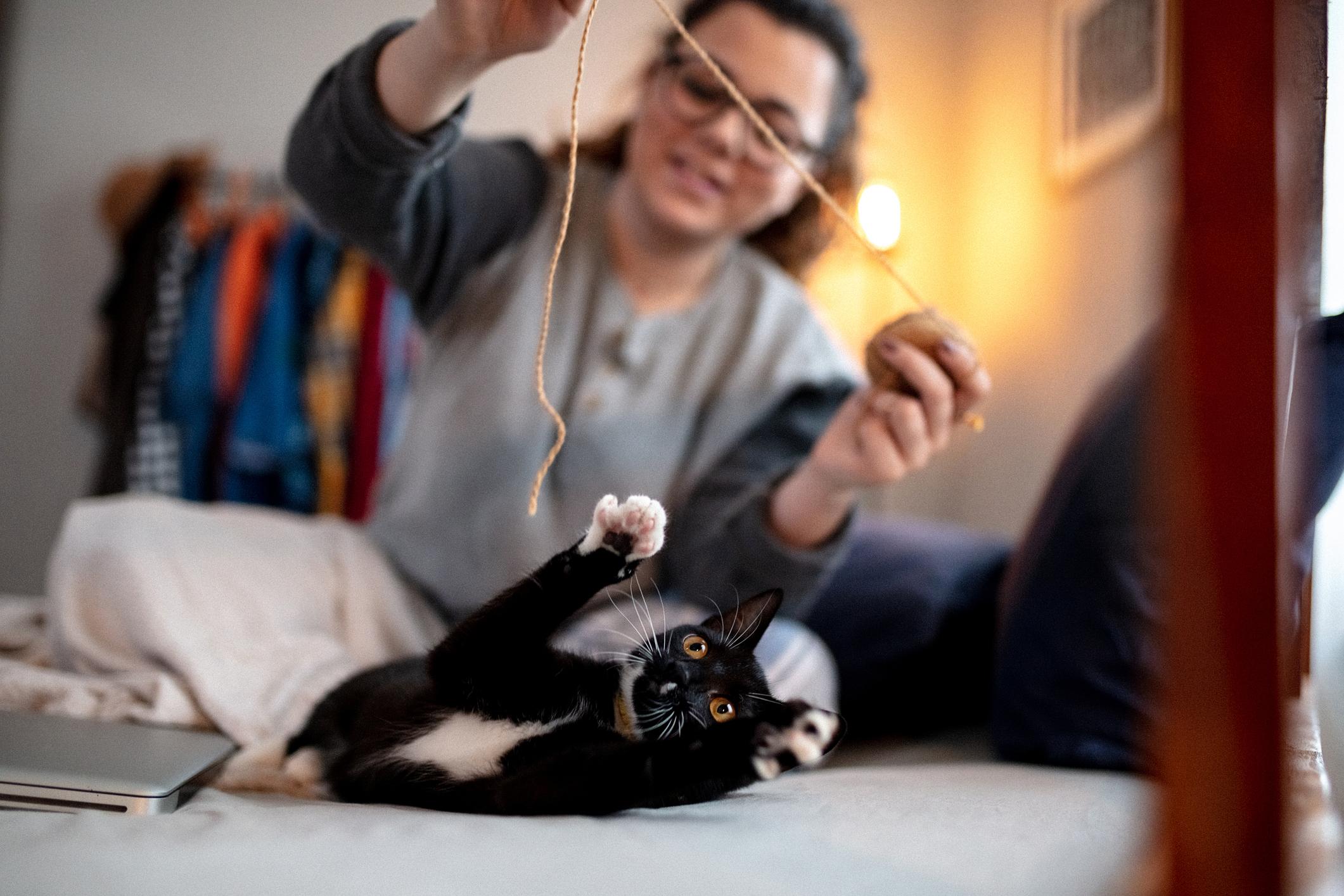 Person plays with a playful black cat using string on a bed, laptop nearby, colourful clothes in the background.