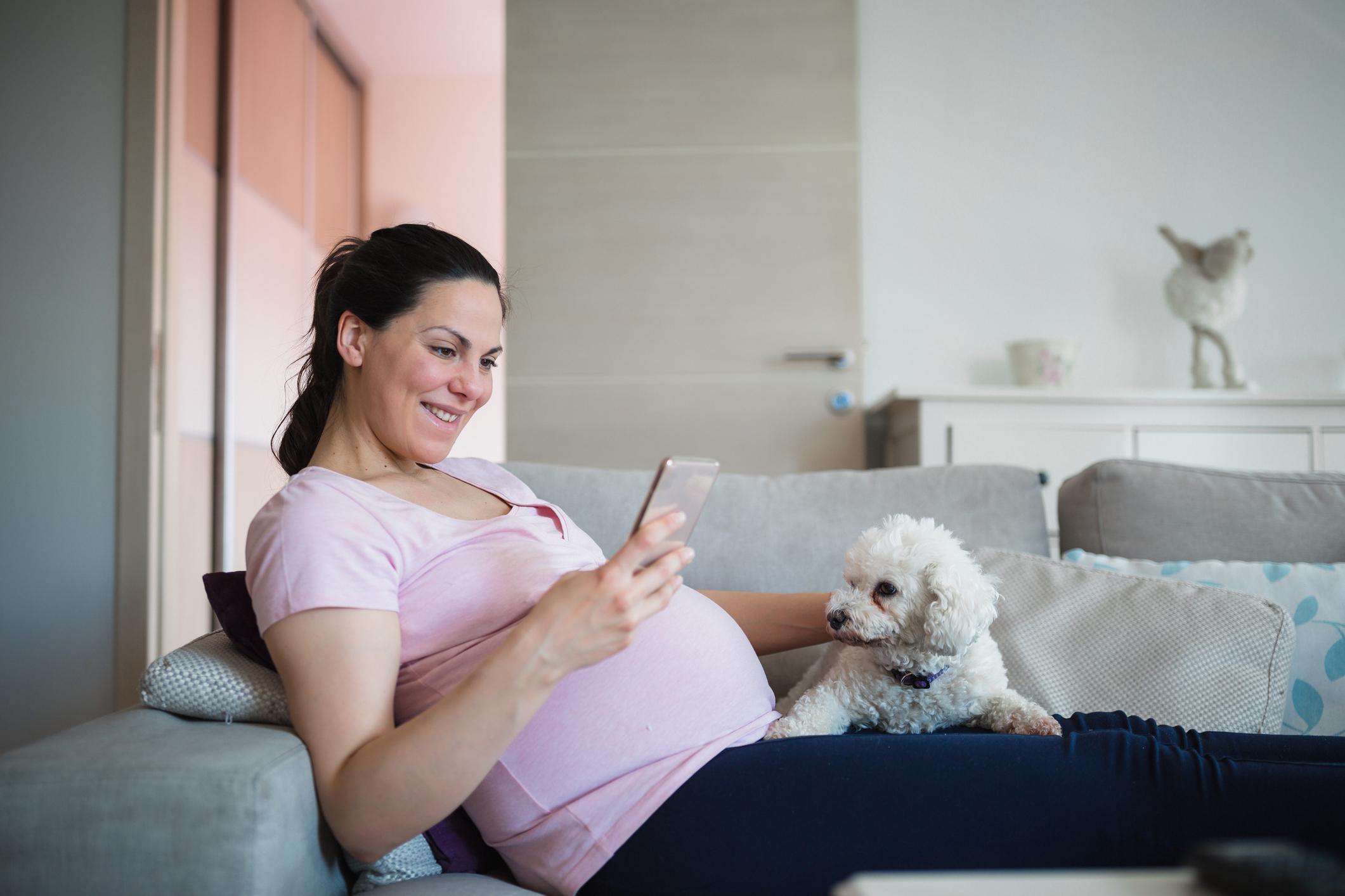 A pregnant woman lays on the couch and stares at her phone while her dog rests on her lap