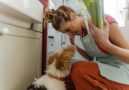 Woman with hair in a bun wearing an apron, playfully interacting with a dog in a kitchen, holding a bunch of celery.
