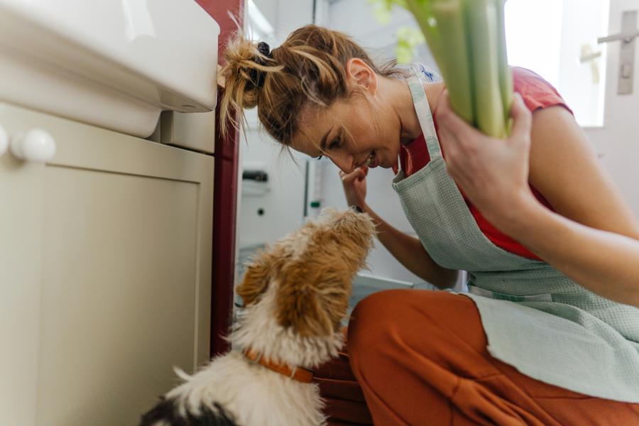 Woman with hair in a bun wearing an apron, playfully interacting with a dog in a kitchen, holding a bunch of celery.