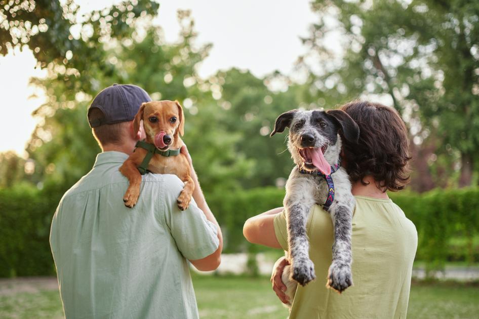 two people holding dogs over their shoulders and walking outside