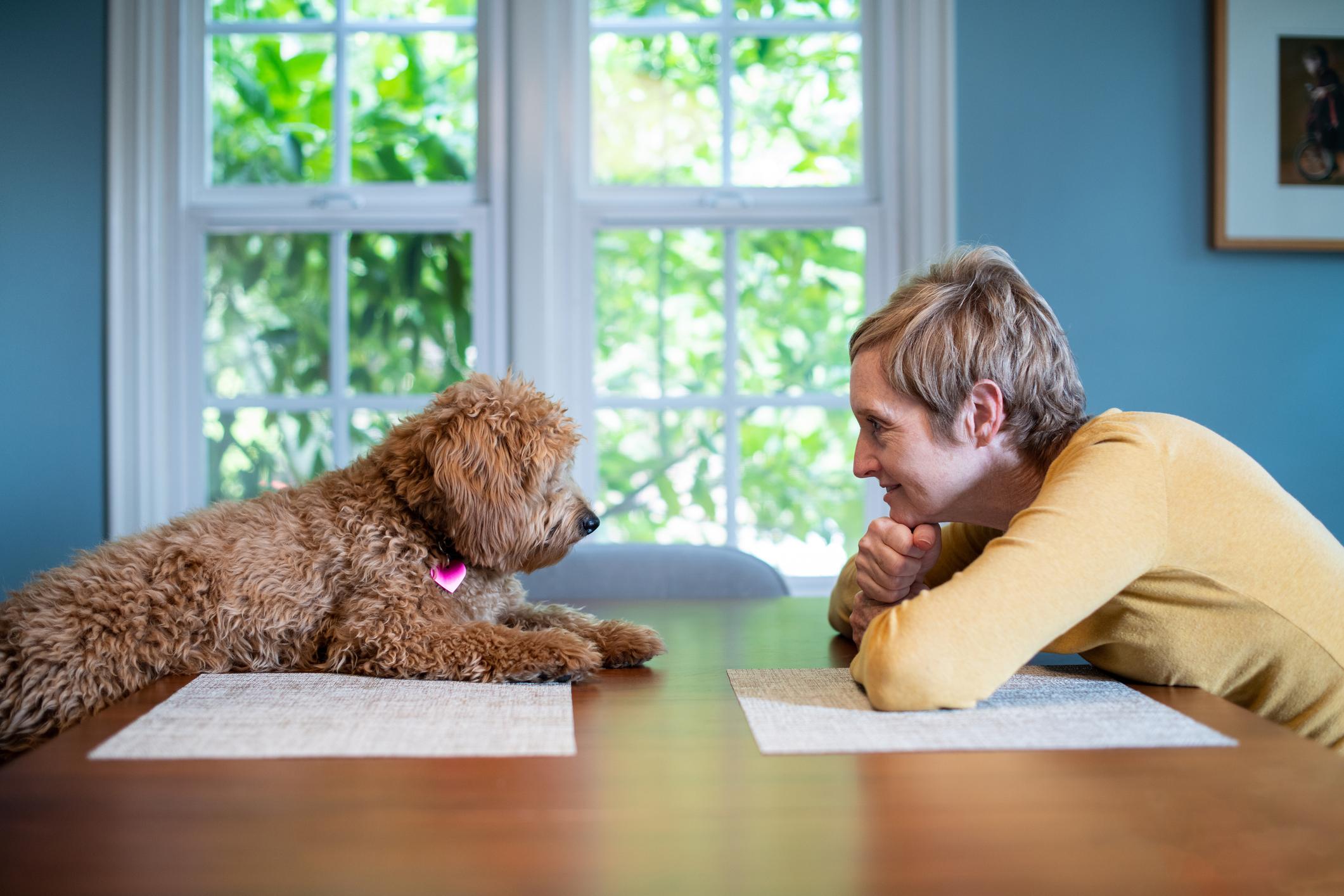 A woman and a dog sit opposite each other at a table, with the dog staring into the woman's eyes