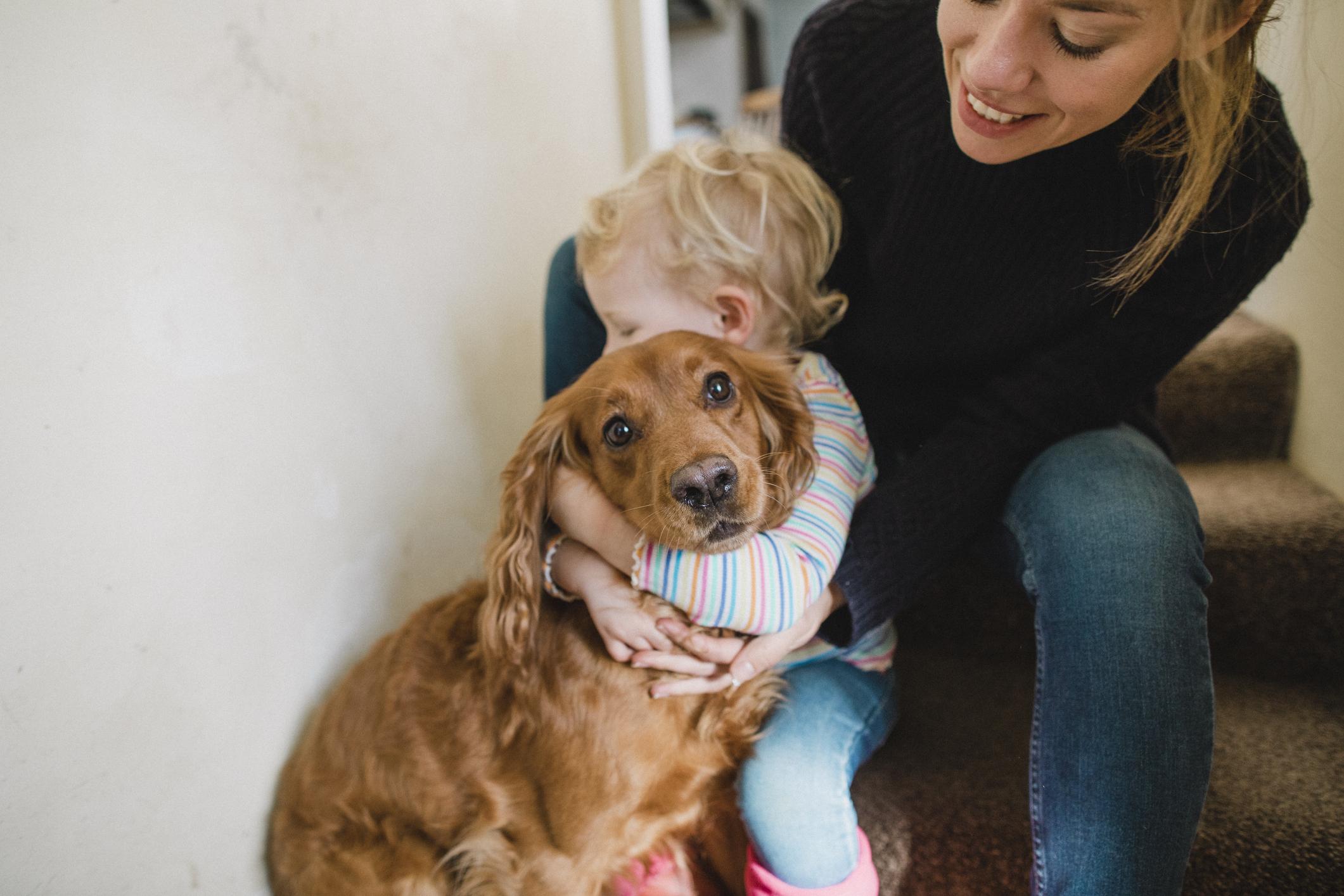 A woman and a young child hugging a spaniel on the stairs.