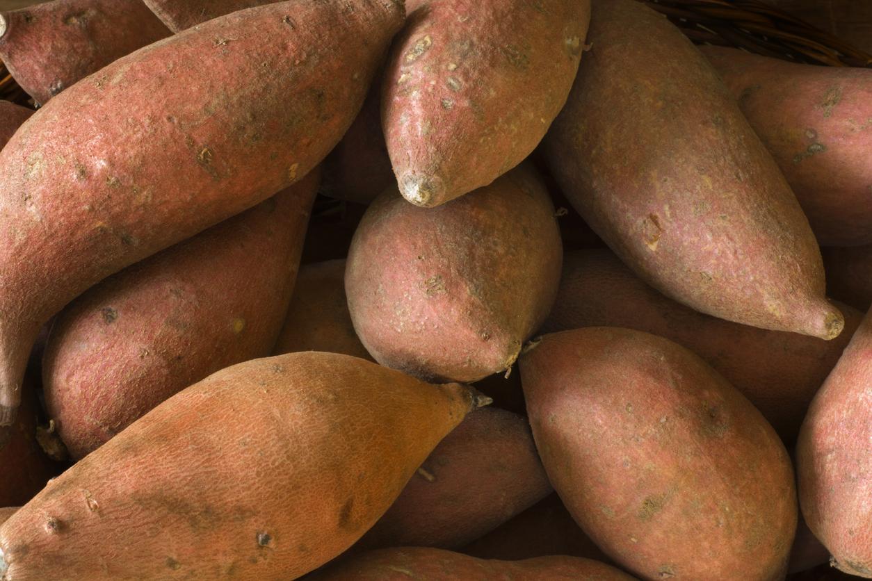 A close-up of several sweet potatoes with reddish-brown skin and irregular shapes, piled together.