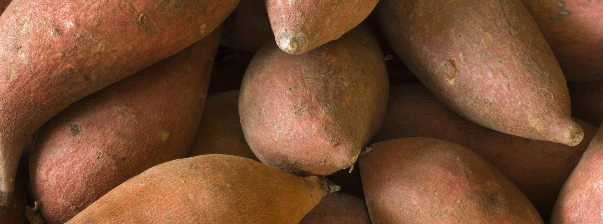 A close-up of several sweet potatoes with reddish-brown skin and irregular shapes, piled together.