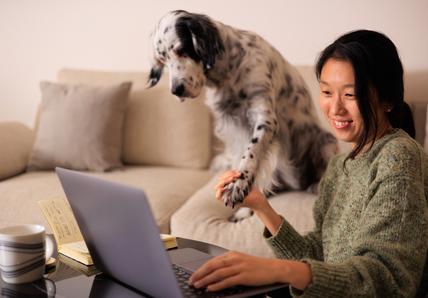 A woman shows off her black-and-white dog on her laptop camera, she is holding the dog's paw