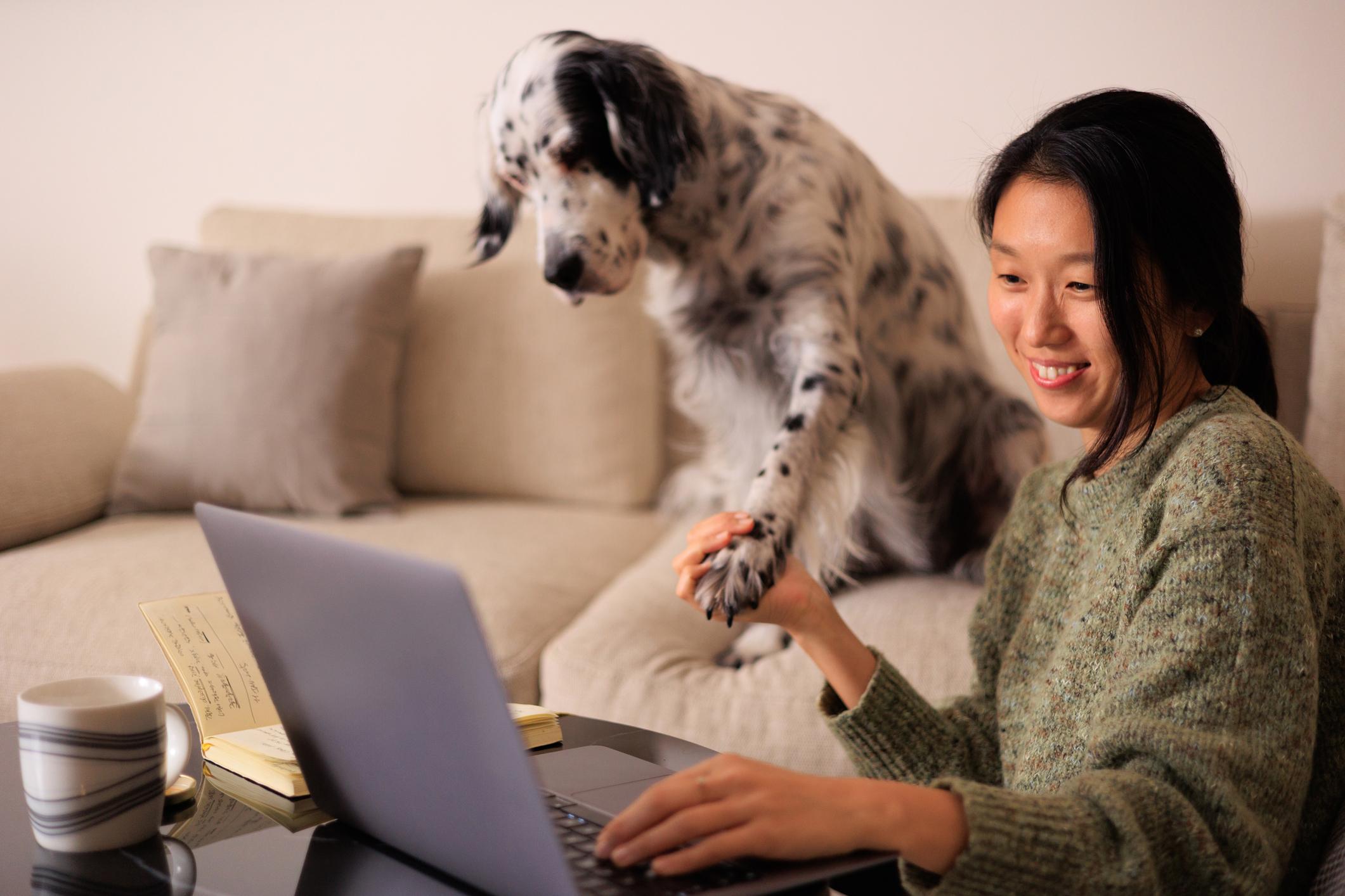 A woman shows off her black-and-white dog on her laptop camera, she is holding the dog's paw