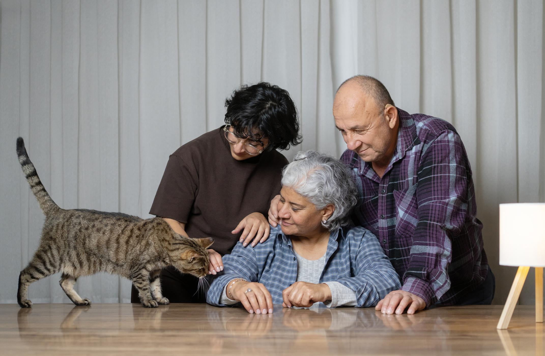 Three people are gathered around a table, smiling at a tabby cat walking towards them. A small lamp is on the right.